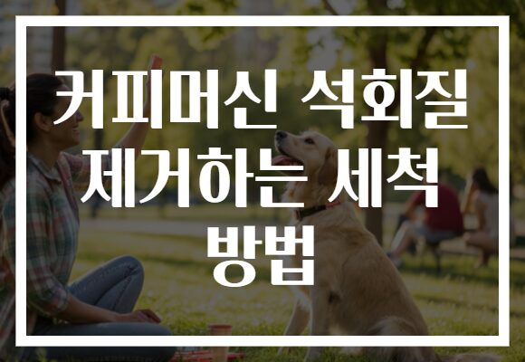 커피머신 석회질 제거하는 세척 방법