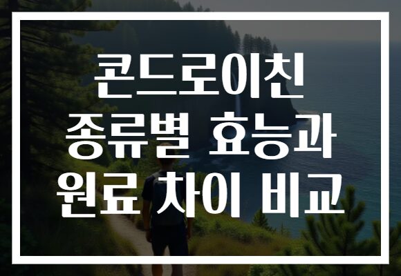 콘드로이친 종류별 효능과 원료 차이 비교