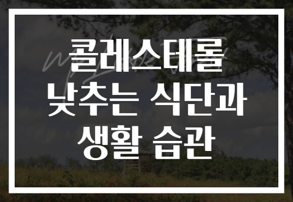 콜레스테롤 낮추는 식단과 생활 습관