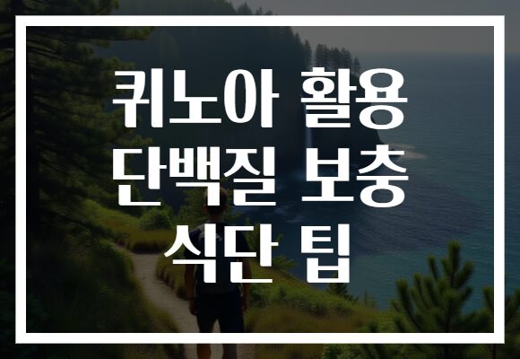 퀴노아 활용 단백질 보충 식단 팁