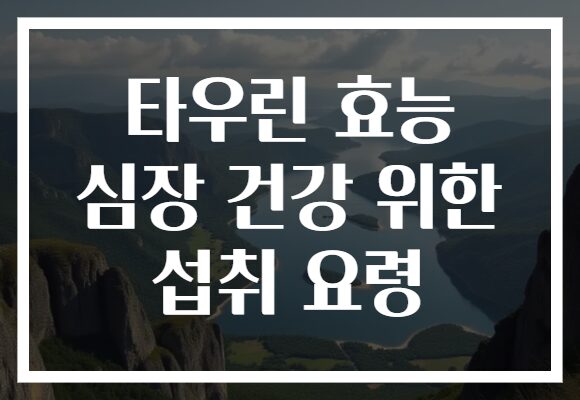 타우린 효능 심장 건강 위한 섭취 요령
