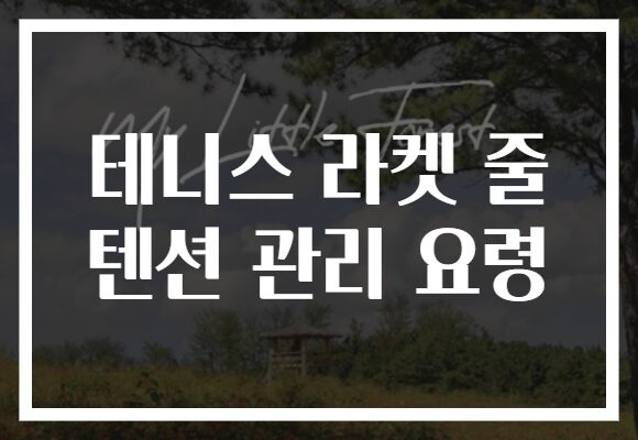 테니스 라켓 줄 텐션 관리 요령