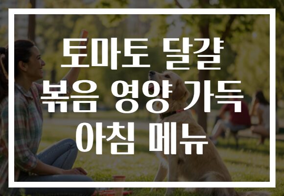 토마토 달걀 볶음 영양 가득 아침 메뉴