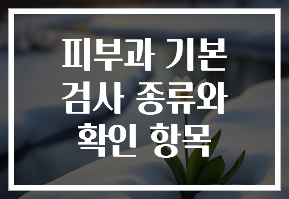 피부과 기본 검사 종류와 확인 항목