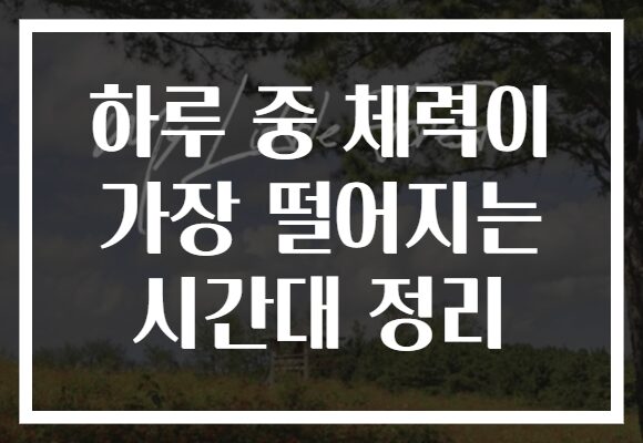 하루 중 체력이 가장 떨어지는 시간대 정리