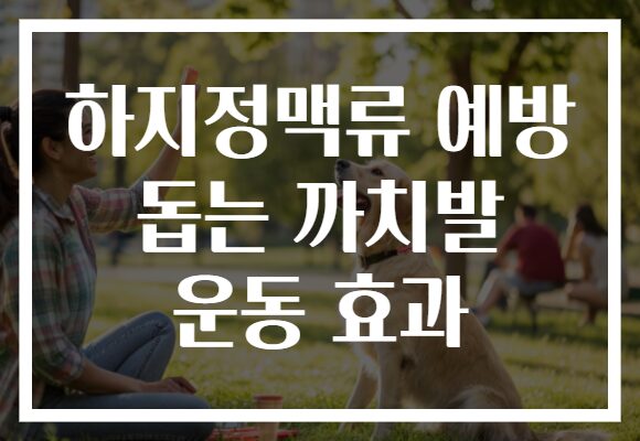 하지정맥류 예방 돕는 까치발 운동 효과