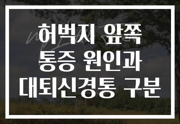 허벅지 앞쪽 통증 원인과 대퇴신경통 구분