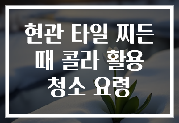 현관 타일 찌든 때 콜라 활용 청소 요령