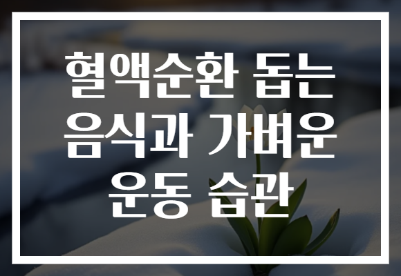 혈액순환 돕는 음식과 가벼운 운동 습관