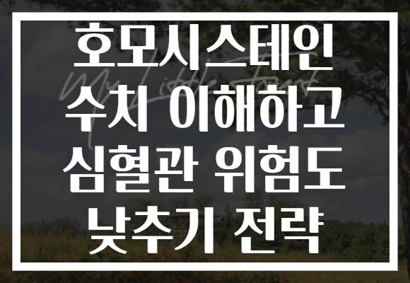 호모시스테인 수치 이해하고 심혈관 위험도 낮추기 전략