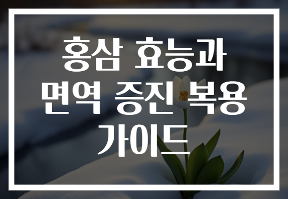 홍삼 효능과 면역 증진 복용 가이드