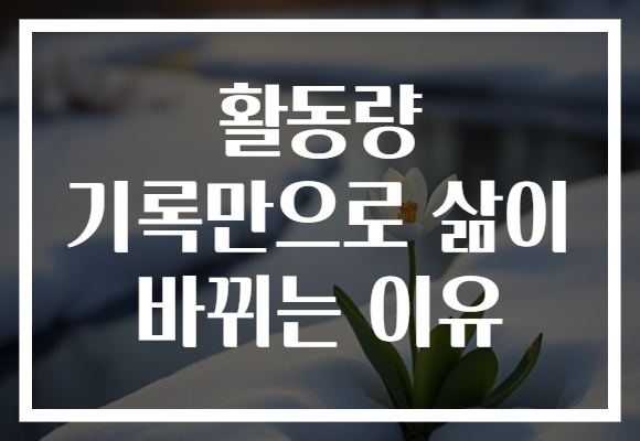 활동량 기록만으로 삶이 바뀌는 이유