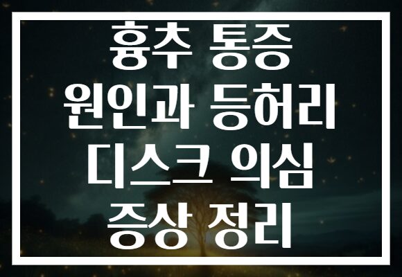흉추 통증 원인과 등허리 디스크 의심 증상 정리