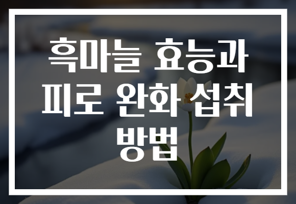흑마늘 효능과 피로 완화 섭취 방법