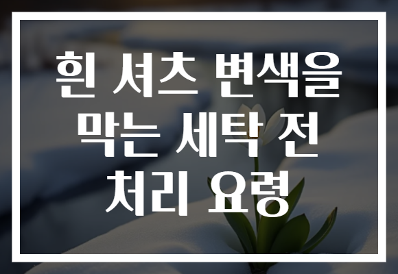 흰 셔츠 변색을 막는 세탁 전 처리 요령