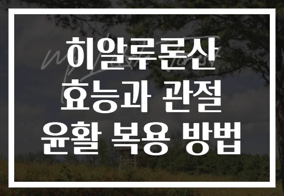 히알루론산 효능과 관절 윤활 복용 방법