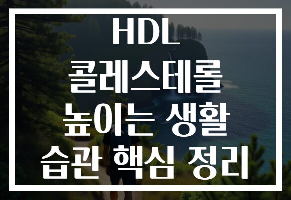 HDL 콜레스테롤 높이는 생활 습관 핵심 정리