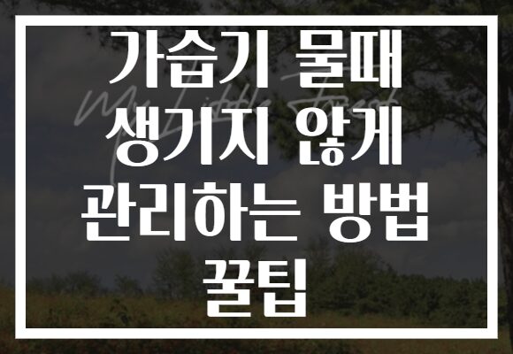 가습기 물때 생기지 않게 관리하는 방법 꿀팁