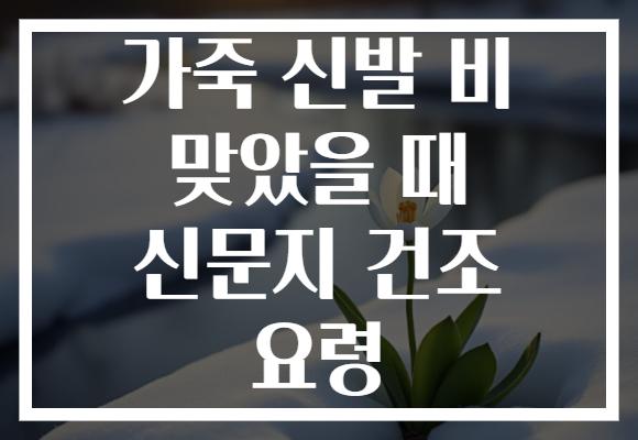 가죽 신발 비 맞았을 때 신문지 건조 요령