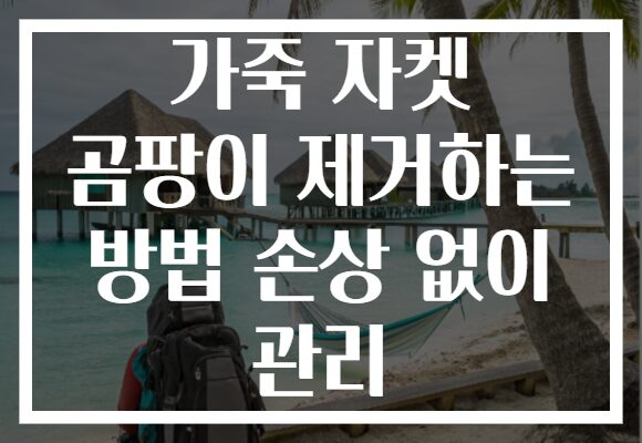 가죽 자켓 곰팡이 제거하는 방법 손상 없이 관리