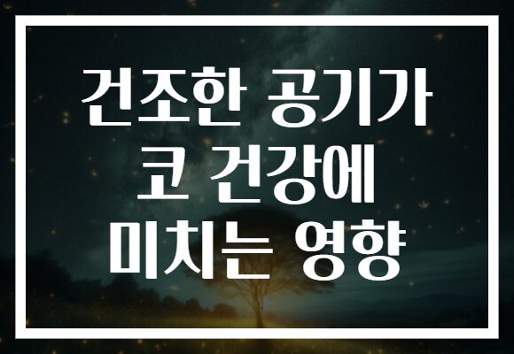 건조한 공기가 코 건강에 미치는 영향