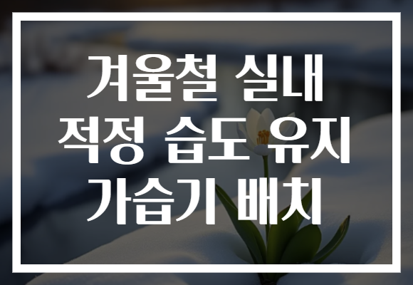 겨울철 실내 적정 습도 유지 가습기 배치