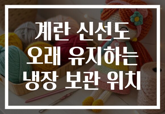 계란 신선도 오래 유지하는 냉장 보관 위치