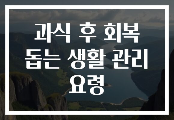 과식 후 회복 돕는 생활 관리 요령