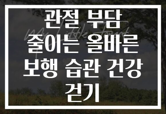 관절 부담 줄이는 올바른 보행 습관 건강 걷기