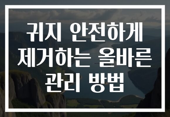귀지 안전하게 제거하는 올바른 관리 방법