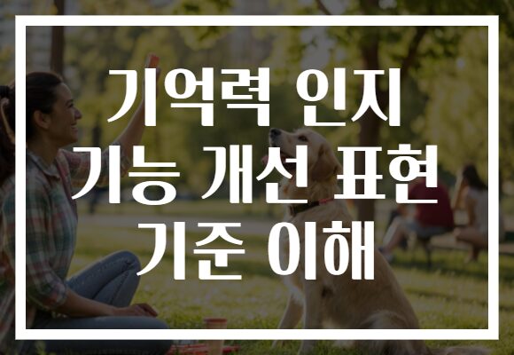 기억력 인지 기능 개선 표현 기준 이해