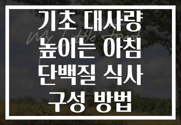 기초 대사량 높이는 아침 단백질 식사 구성 방법