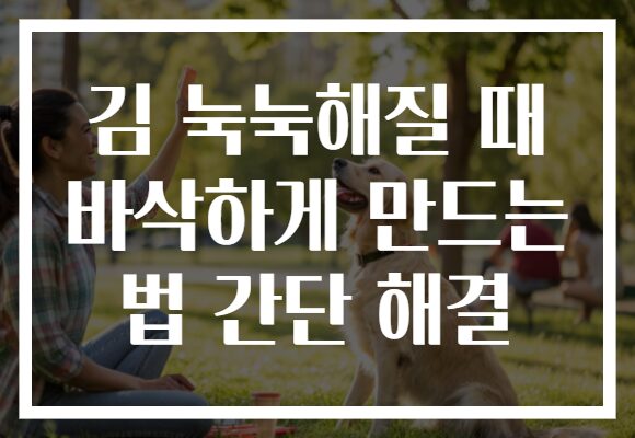 김 눅눅해질 때 바삭하게 만드는 법 간단 해결