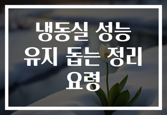 냉동실 성능 유지 돕는 정리 요령