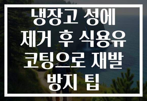 냉장고 성에 제거 후 식용유 코팅으로 재발 방지 팁