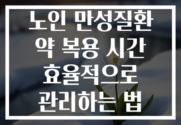 노인 만성질환 약 복용 시간 효율적으로 관리하는 법