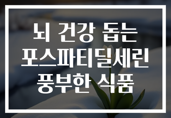 뇌 건강 돕는 포스파티딜세린 풍부한 식품