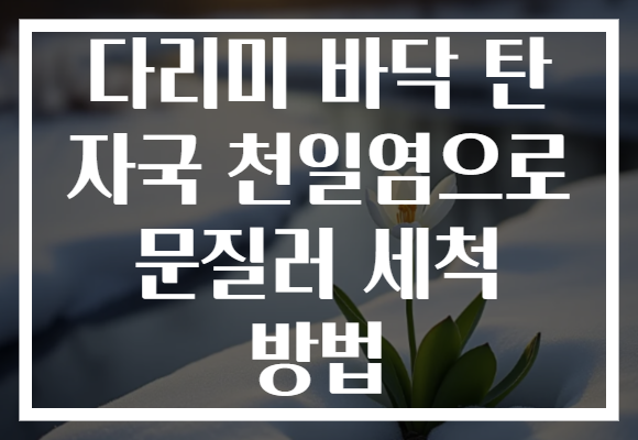다리미 바닥 탄 자국 천일염으로 문질러 세척 방법