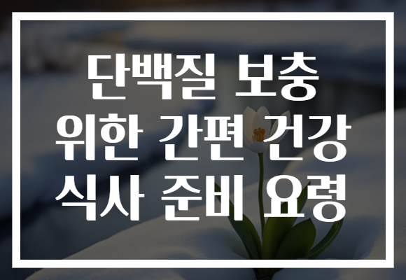 단백질 보충 위한 간편 건강 식사 준비 요령