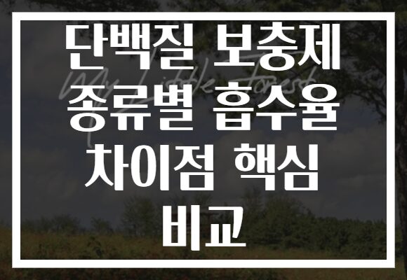 단백질 보충제 종류별 흡수율 차이점 핵심 비교