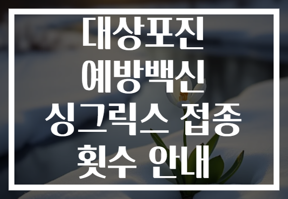 대상포진 예방백신 싱그릭스 접종 횟수 안내
