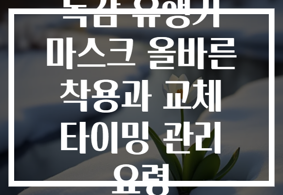 독감 유행기 마스크 올바른 착용과 교체 타이밍 관리 요령