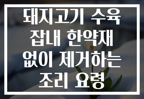 돼지고기 수육 잡내 한약재 없이 제거하는 조리 요령