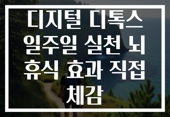 디지털 디톡스 일주일 실천 뇌 휴식 효과 직접 체감