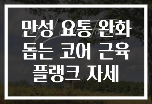 만성 요통 완화 돕는 코어 근육 플랭크 자세