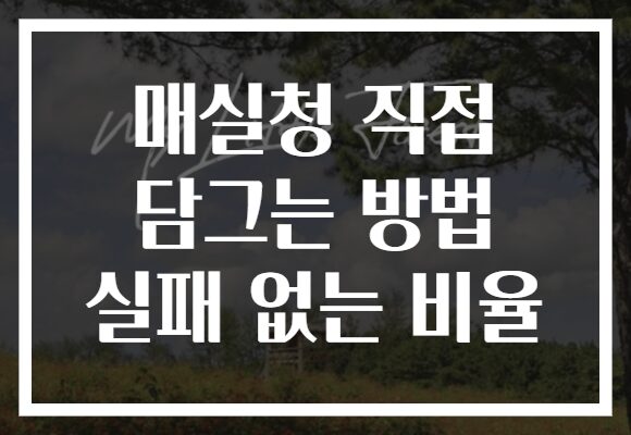 매실청 직접 담그는 방법 실패 없는 비율