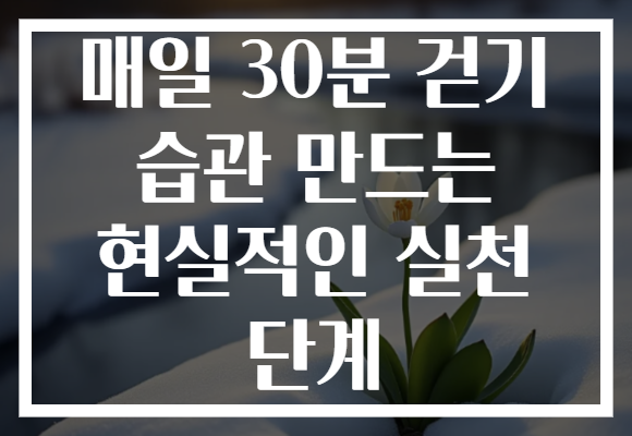 매일 30분 걷기 습관 만드는 현실적인 실천 단계