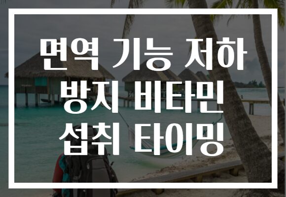 면역 기능 저하 방지 비타민 섭취 타이밍