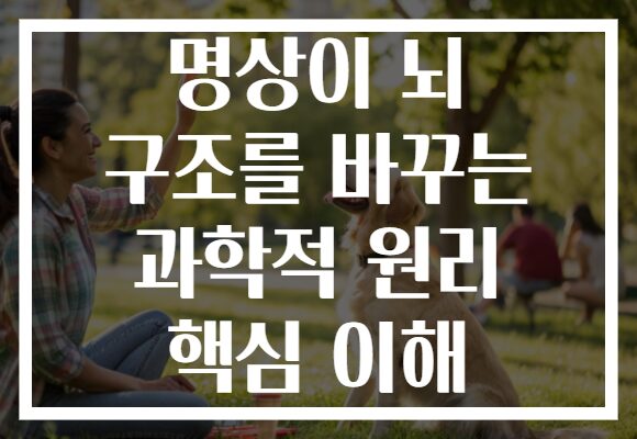 명상이 뇌 구조를 바꾸는 과학적 원리 핵심 이해