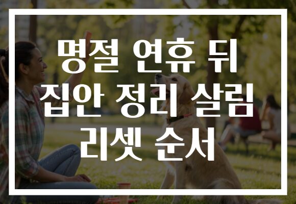 명절 연휴 뒤 집안 정리 살림 리셋 순서